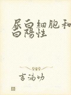 尿白细胞和尿蛋白阳性