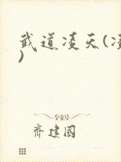 武道凌天(凌天)