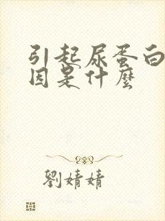 引起尿蛋白的原因是什么