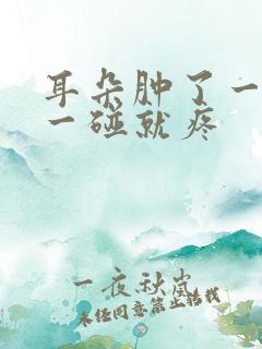 耳朵肿了一个包一碰就疼