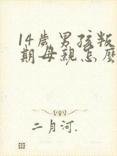 14岁男孩叛逆期母亲怎么他交流