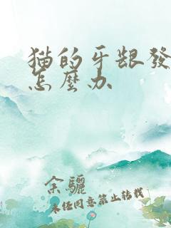 猫的牙龈发炎了怎么办