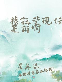 杨钰莹现任老公是谁啊