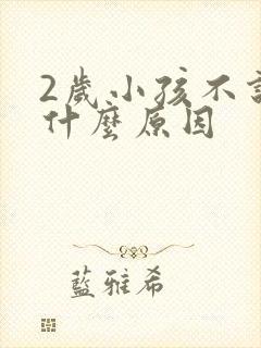 2岁小孩不说话什么原因