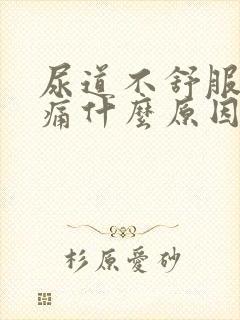 尿道不舒服有点痛什么原因