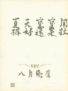 夏天宝宝用纸尿裤好还是拉拉裤好