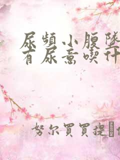 尿频小腹坠胀总有尿意吃什么药