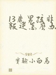 13岁男孩非常叛逆怎么办