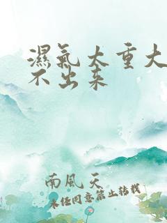 湿气太重大便拉不出来