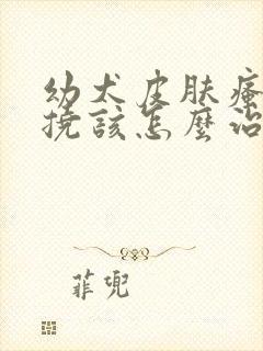 幼犬皮肤瘙痒总挠该怎么治疗