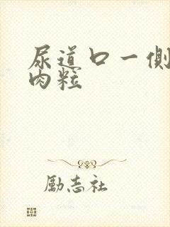 尿道口一侧有小肉粒