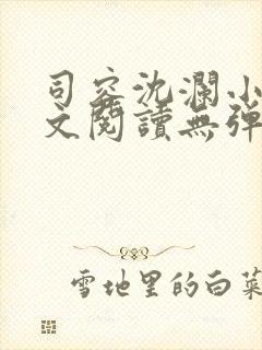 司容沈澜小说全文阅读无弹窗