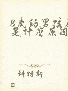 8岁的男孩尿床是什么原因