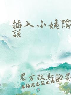 插入小姨阴道小说