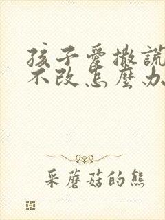 孩子爱撒谎屡教不改怎么办李玫瑾