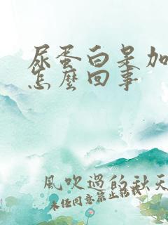 尿蛋白是加号是怎么回事