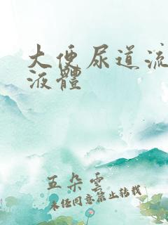 大便尿道流白色液体