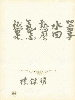 燃气热水器漏水是怎么回事儿