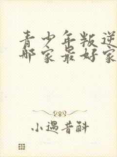 青少年叛逆学校哪家最好家最好