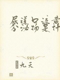 尿道口流黄色的分泌物是什么病