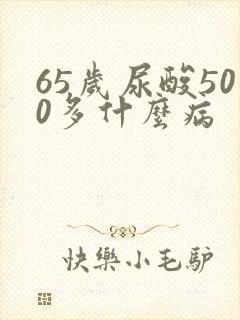 65岁尿酸500多什么病