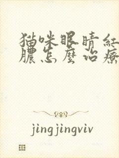 猫咪眼睛红肿流脓怎么治疗