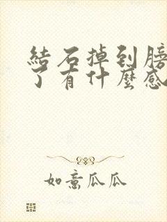 结石掉到膀胱里了有什么感觉