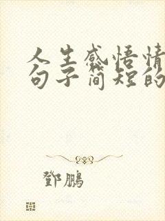 人生感悟情感的句子简短的