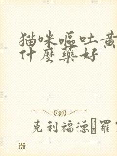 猫咪呕吐黄水吃什么药好