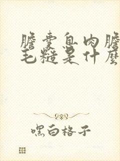 胆囊息肉胆囊壁毛糙是什么意思