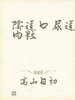 阴道口尿道白色肉粒