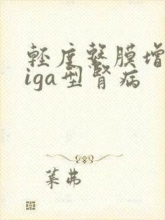 轻度系膜增生性iga型肾病