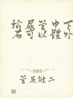 输尿管中下段结石可以体外震波碎石吗