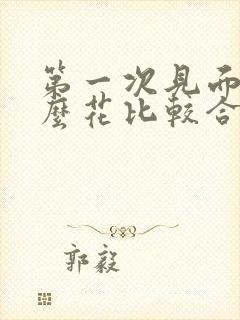 第一次见面送什么花比较合适