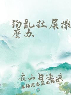 狗乱拉屎撒尿怎么办