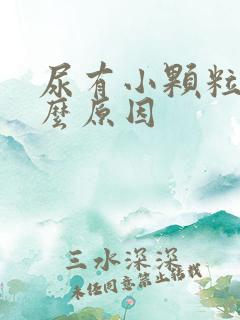 尿有小颗粒是什么原因