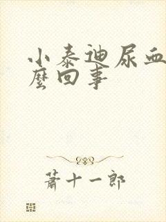 小泰迪尿血是怎么回事