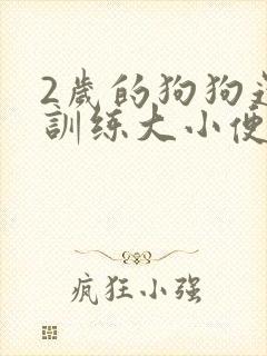 2岁的狗狗还能训练大小便吗