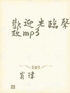 欢迎光临声音音效mp3