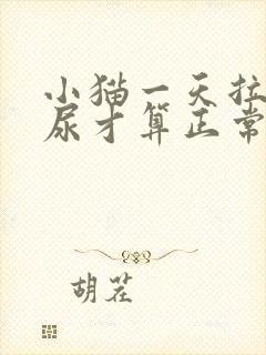 小猫一天拉几次尿才算正常