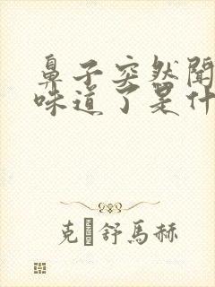 鼻子突然闻不到味道了是什么原因