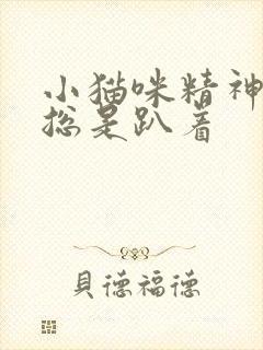 小猫咪精神萎靡总是趴着