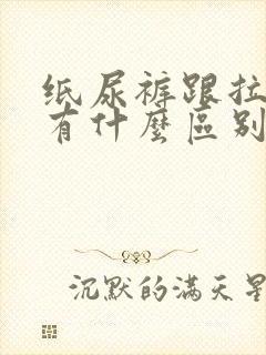 纸尿裤跟拉拉裤有什么区别