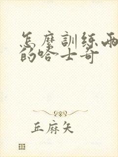 怎么训练两个月的哈士奇