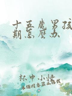 十五岁男孩叛逆期怎么办