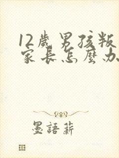 12岁男孩叛逆家长怎么办