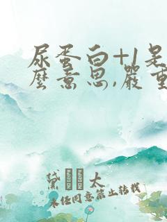 尿蛋白+1是什么意思,严重吗