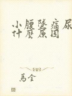 小腹坠痛尿频是什么原因