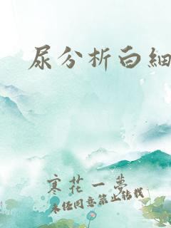 尿分析白细胞高