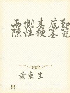 两侧基底节区腔隙性梗塞灶